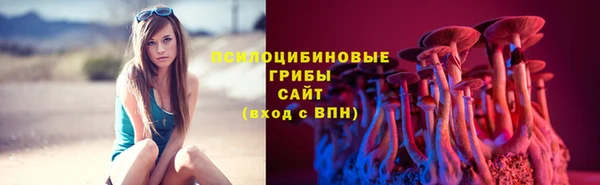стафф Абдулино