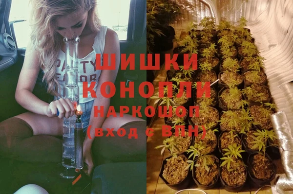 шишки Абинск