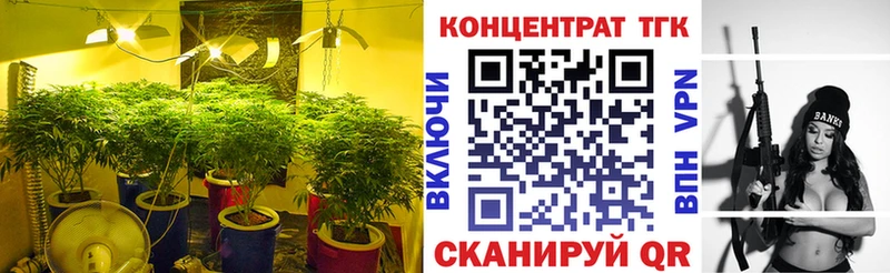 купить наркоту Суджа Дистиллят ТГК гашишное масло